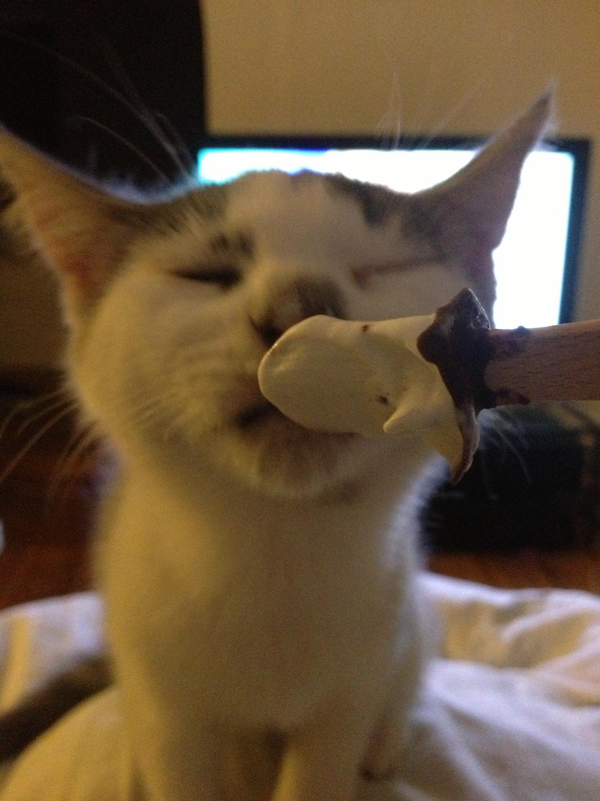 Blanding af racer James billede 7