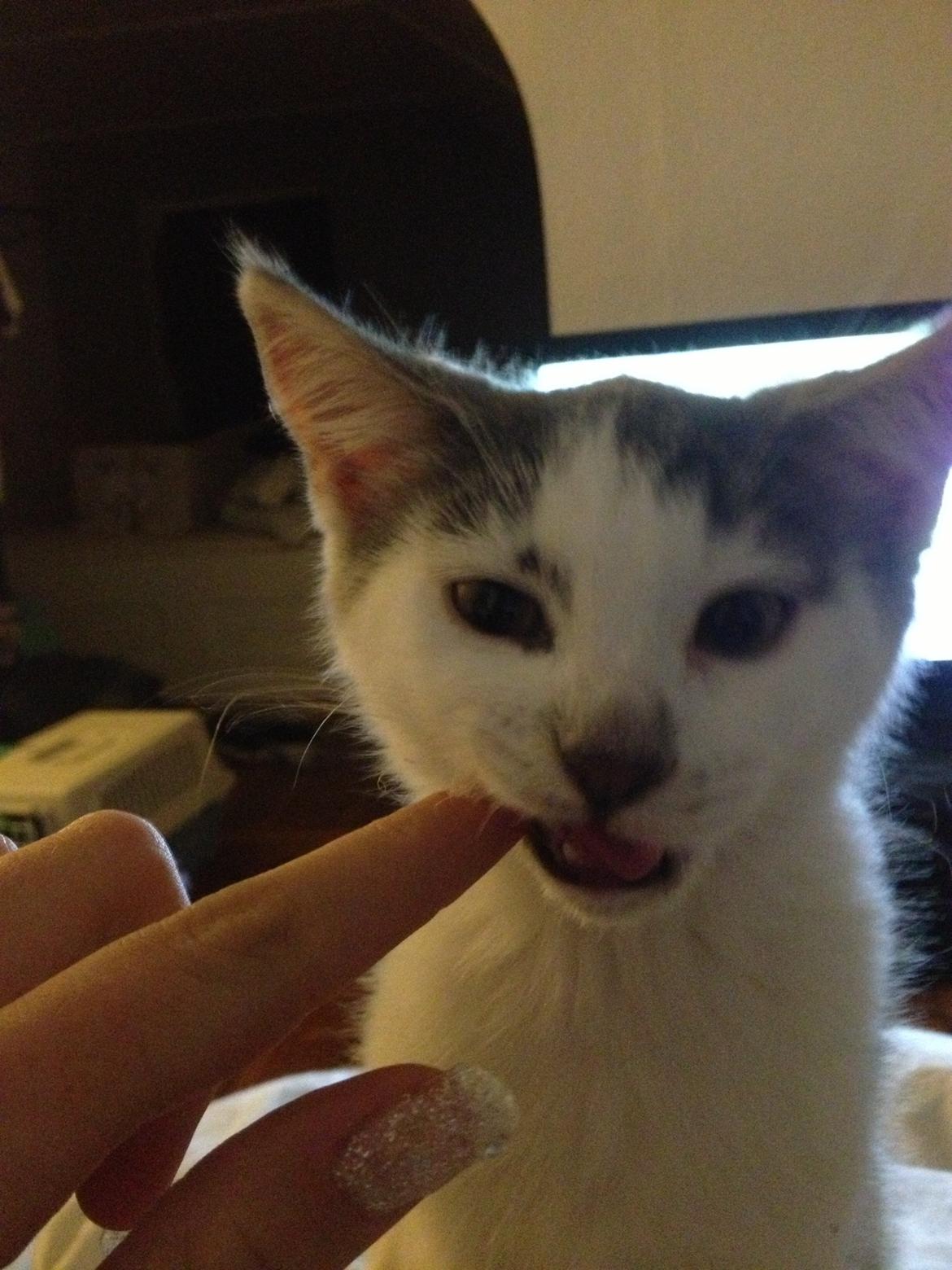 Blanding af racer James billede 8