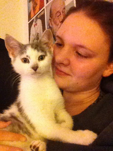 Blanding af racer James billede 11