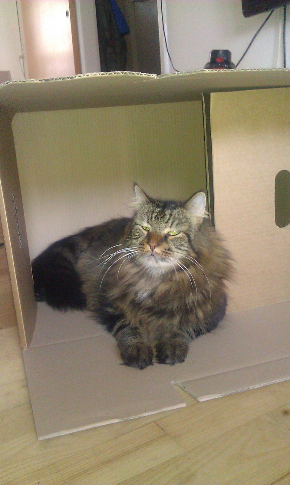 Blanding af racer Johnson billede 1