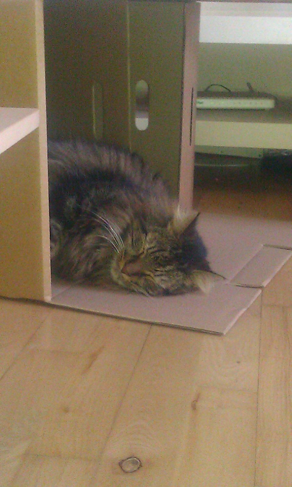 Blanding af racer Johnson billede 3