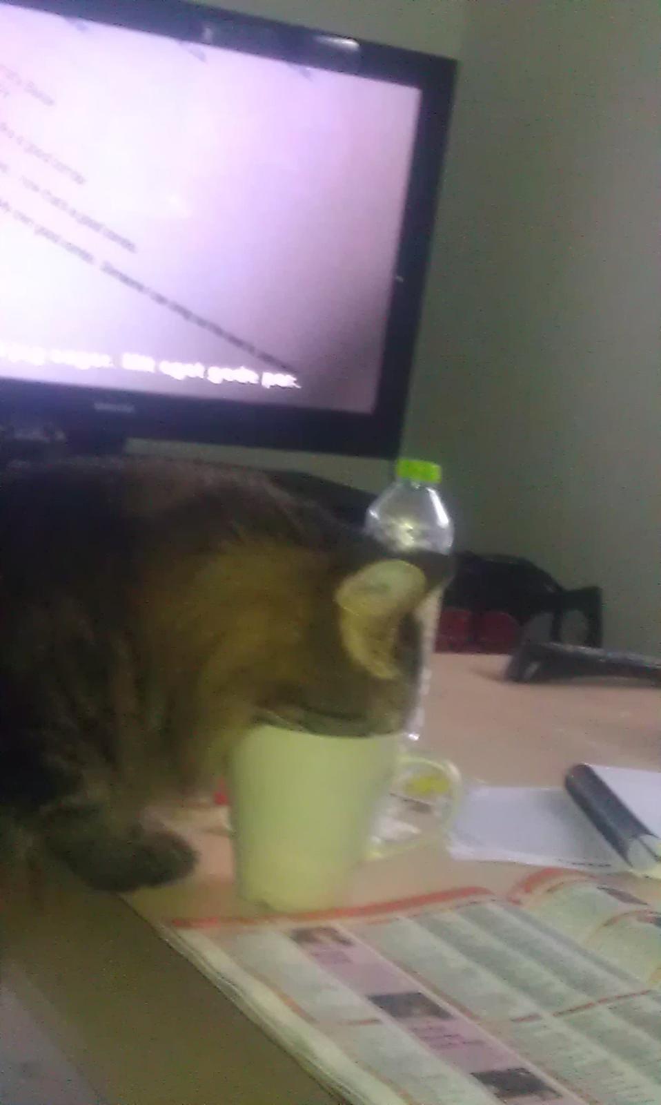 Blanding af racer Johnson billede 4