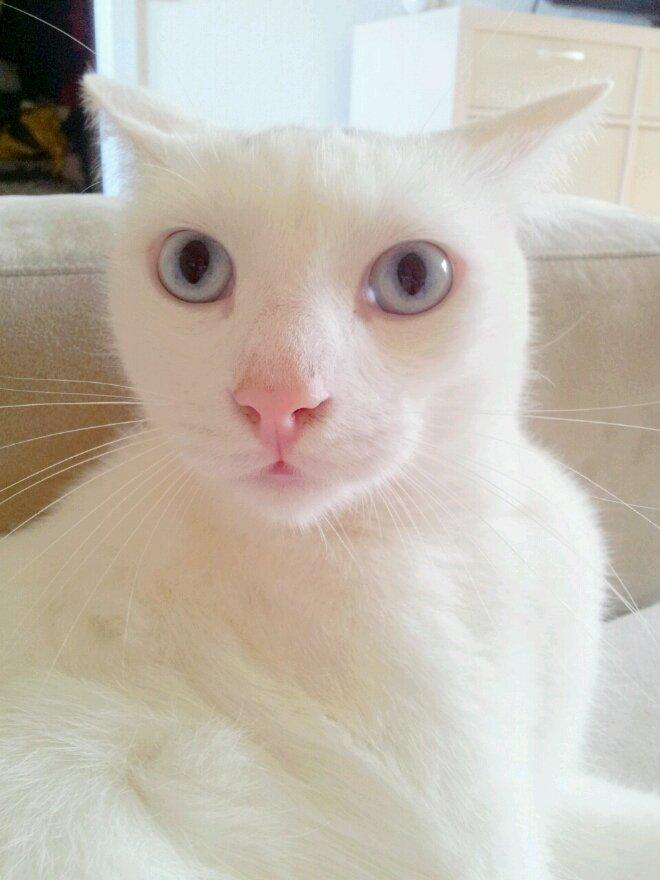 Huskat Noob - Et mindre chok da der bliver banket på døren imens moar tar billeder ;) billede 4