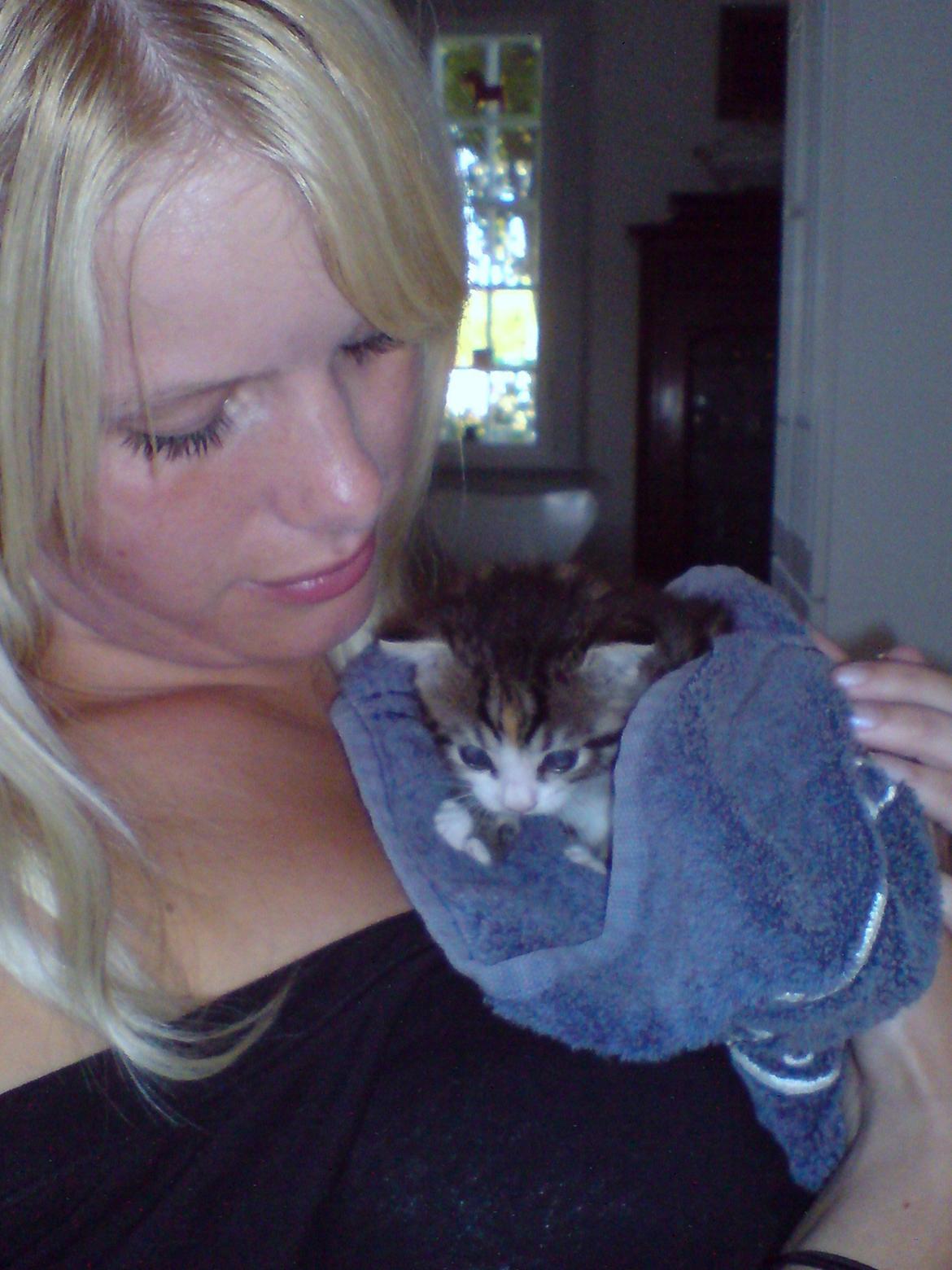 Huskat Missepigen billede 5