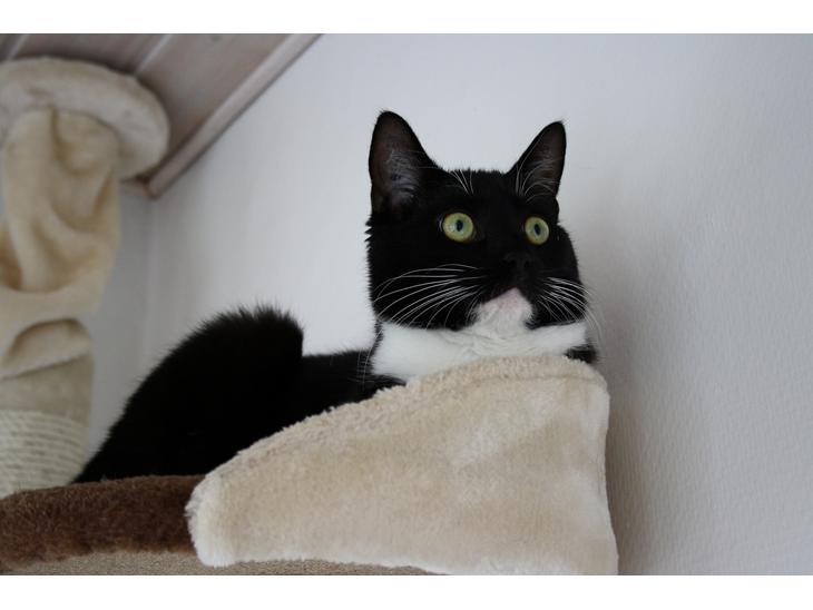 {{currentPhoto.altText}} billede {{currentPhoto.number}}