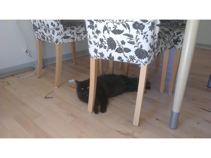 {{currentPhoto.altText}} billede {{currentPhoto.number}}