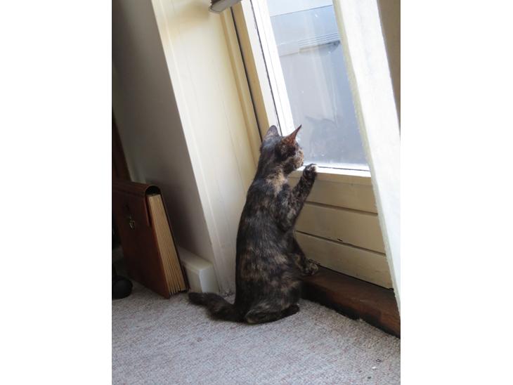 {{currentPhoto.altText}} billede {{currentPhoto.number}}