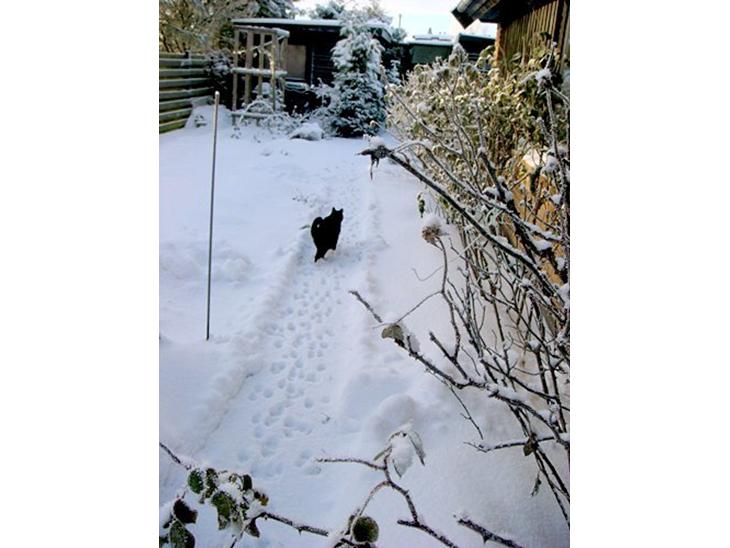 {{currentPhoto.altText}} billede {{currentPhoto.number}}