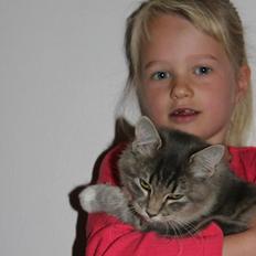 Blanding af racer Mira