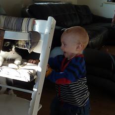 Blanding af racer Bella