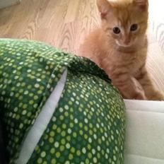 Blanding af racer Heisenberg