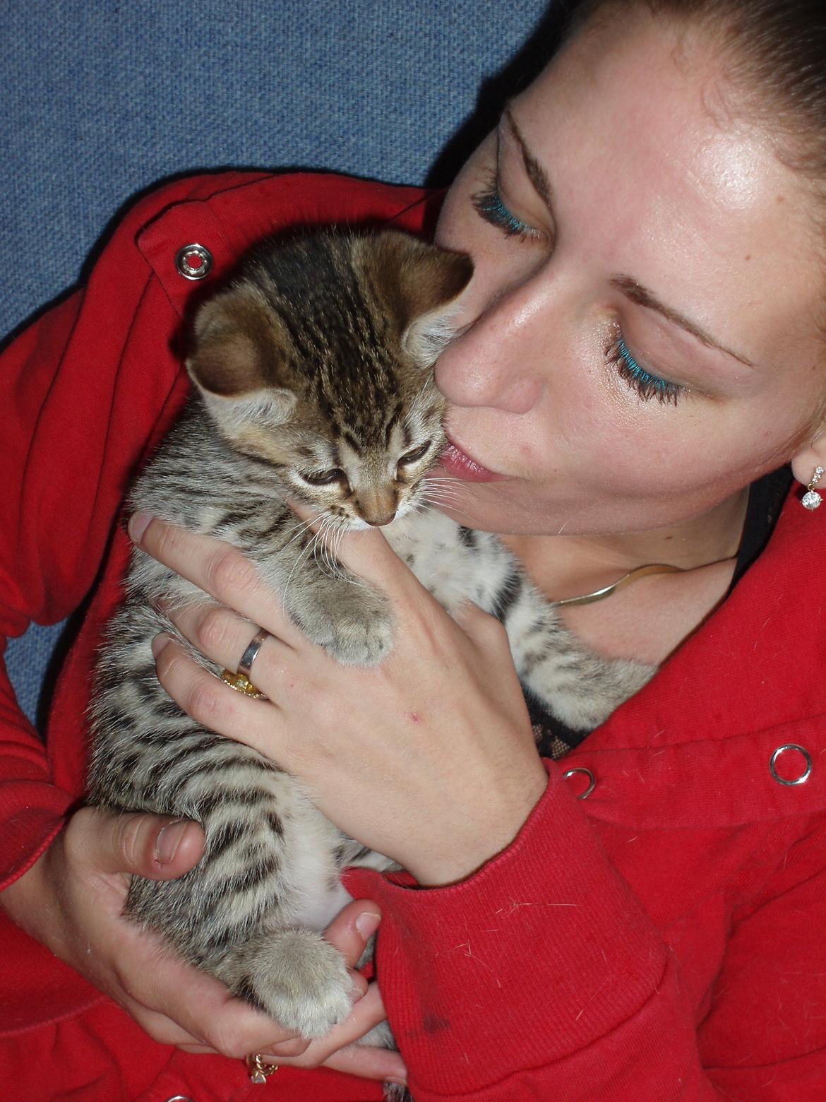 Bengal Zimba billede 5