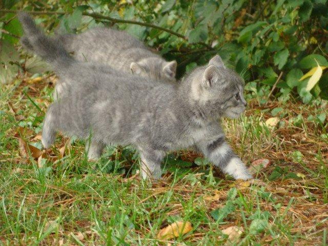 Huskat Ooops! A Minnie Girl *SOLGT* billede 8