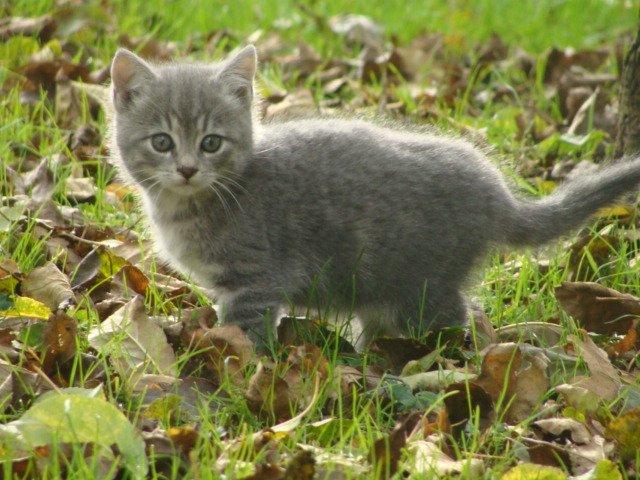 Huskat Ooops! A Minnie Girl *SOLGT* billede 9