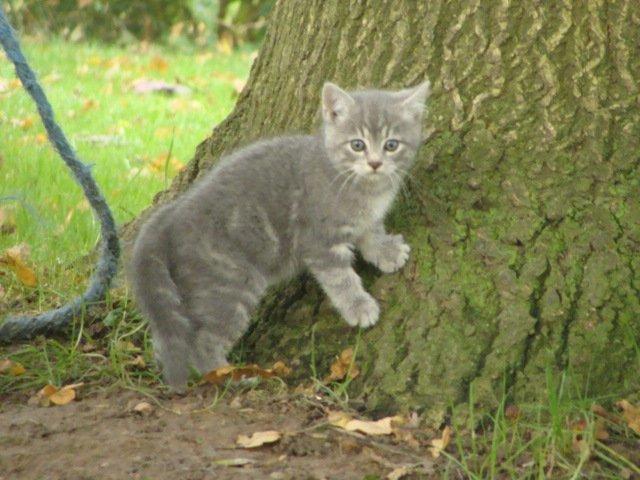 Huskat Ooops! A Minnie Girl *SOLGT* billede 10