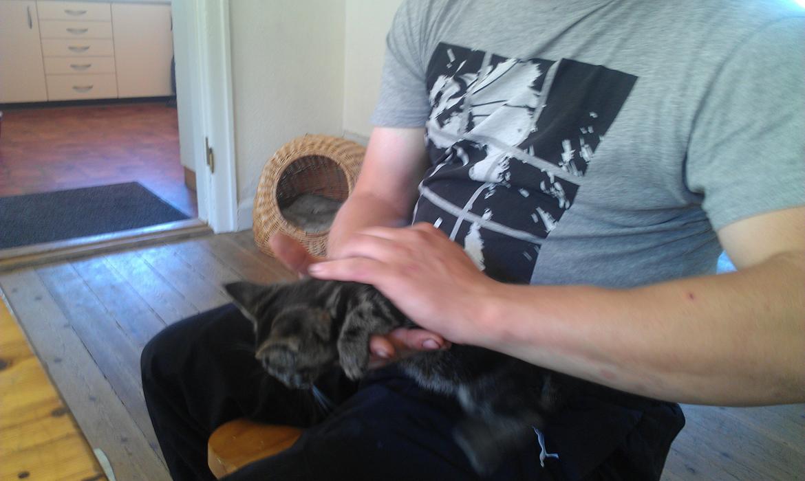 Huskat psyko billede 3