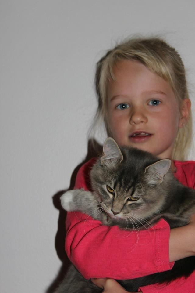 Blanding af racer Mira billede 2