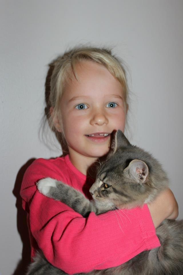 Blanding af racer Mira billede 7