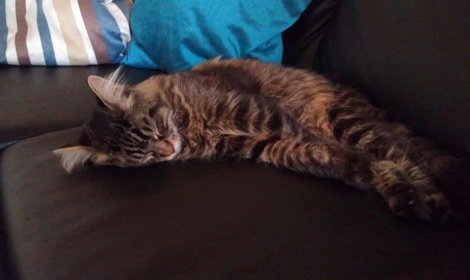 Blanding af racer Batman billede 3