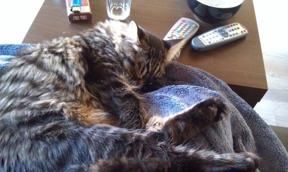 Blanding af racer Batman billede 4