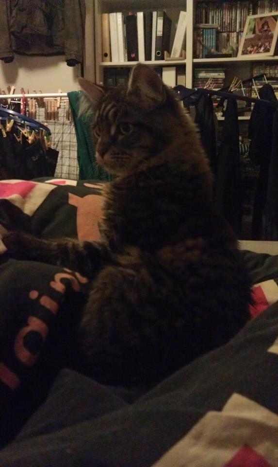 Blanding af racer Batman billede 6