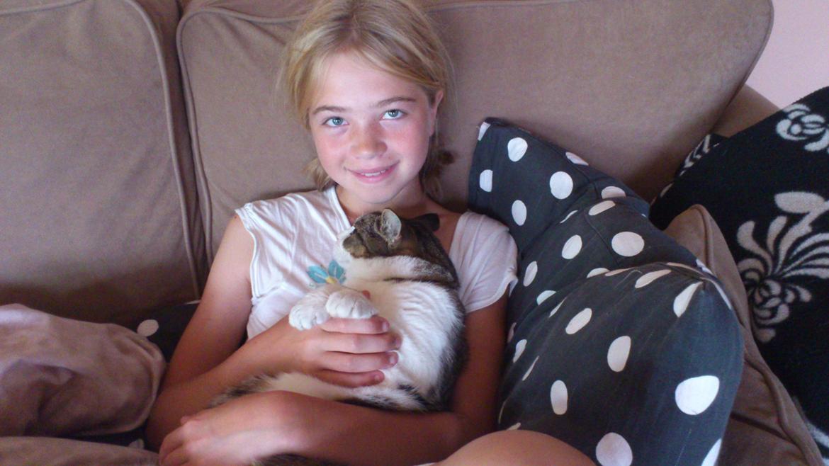 Huskat Tulle billede 7