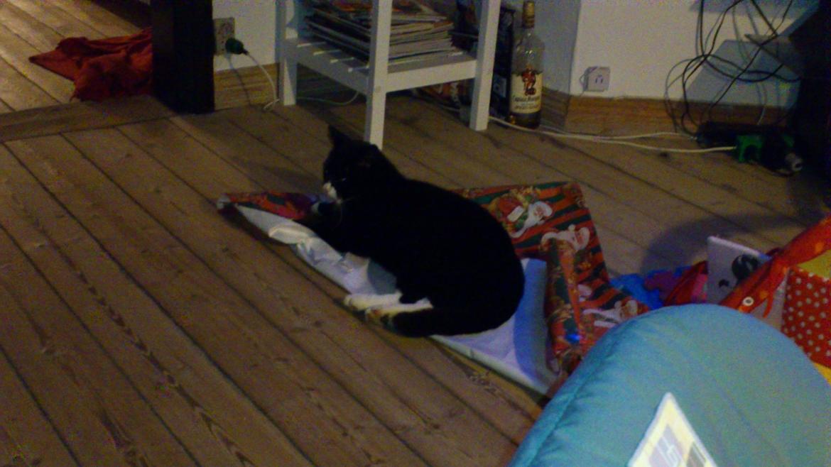 Huskat Bøffen billede 8