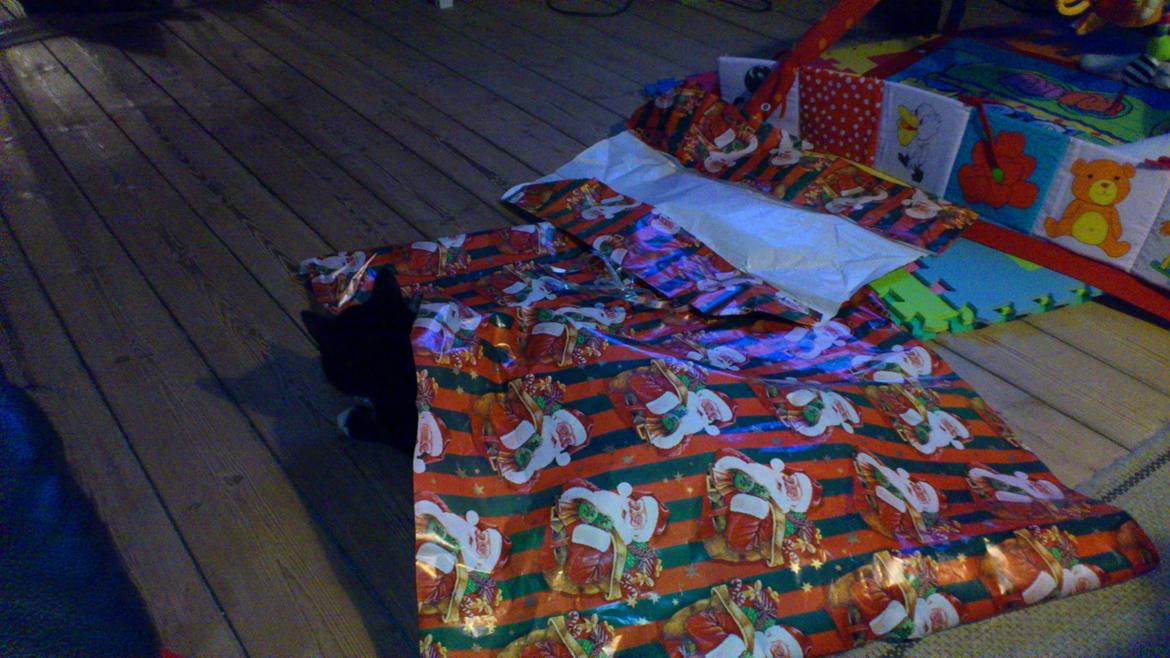 Huskat Bøffen billede 11