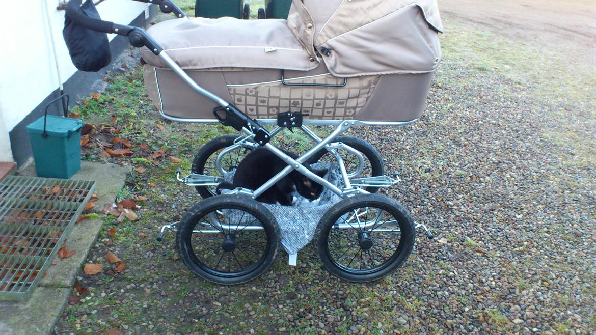 Huskat Bøffen billede 16