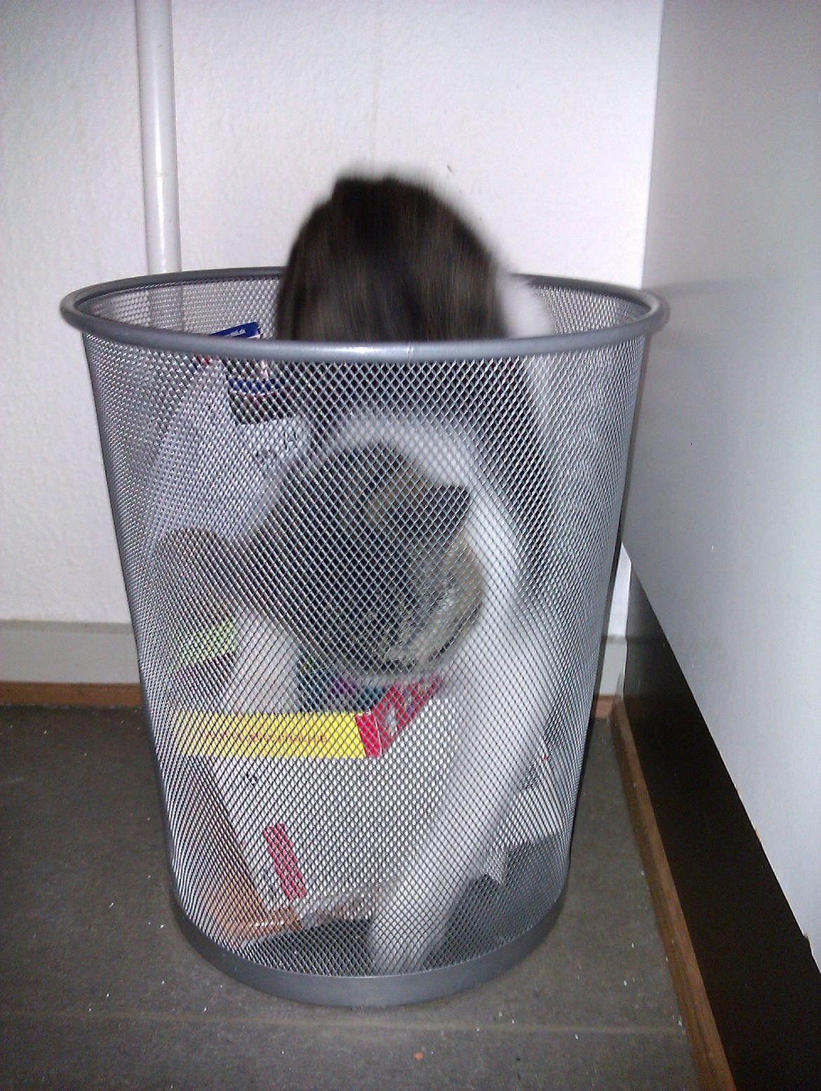 Huskat Batman billede 11