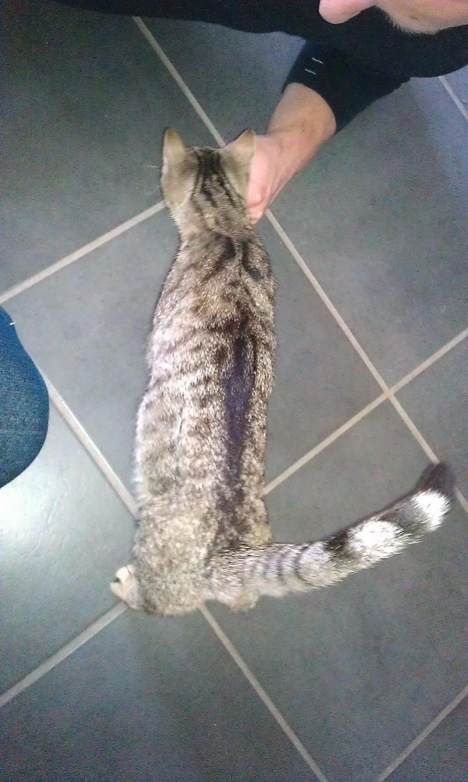 Huskat Takinka - Så utrolig tynd... billede 3