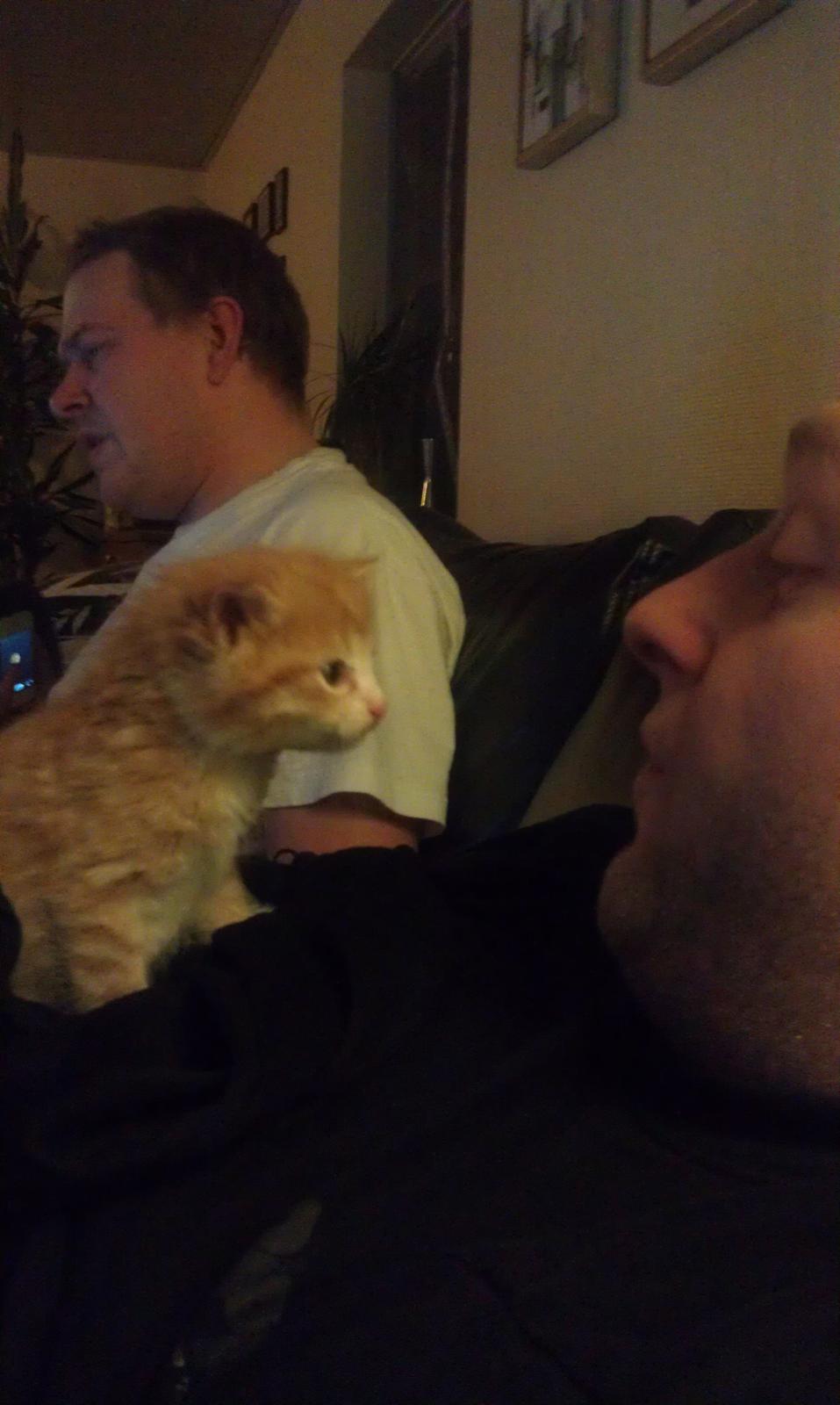 Huskat Misse billede 4