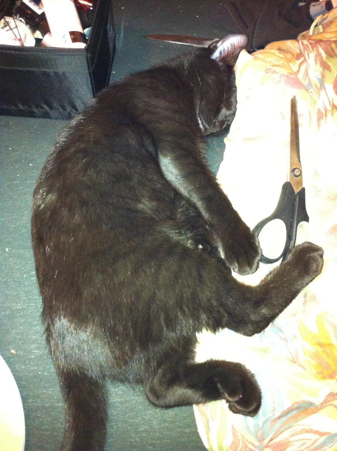 Huskat Spade billede 3