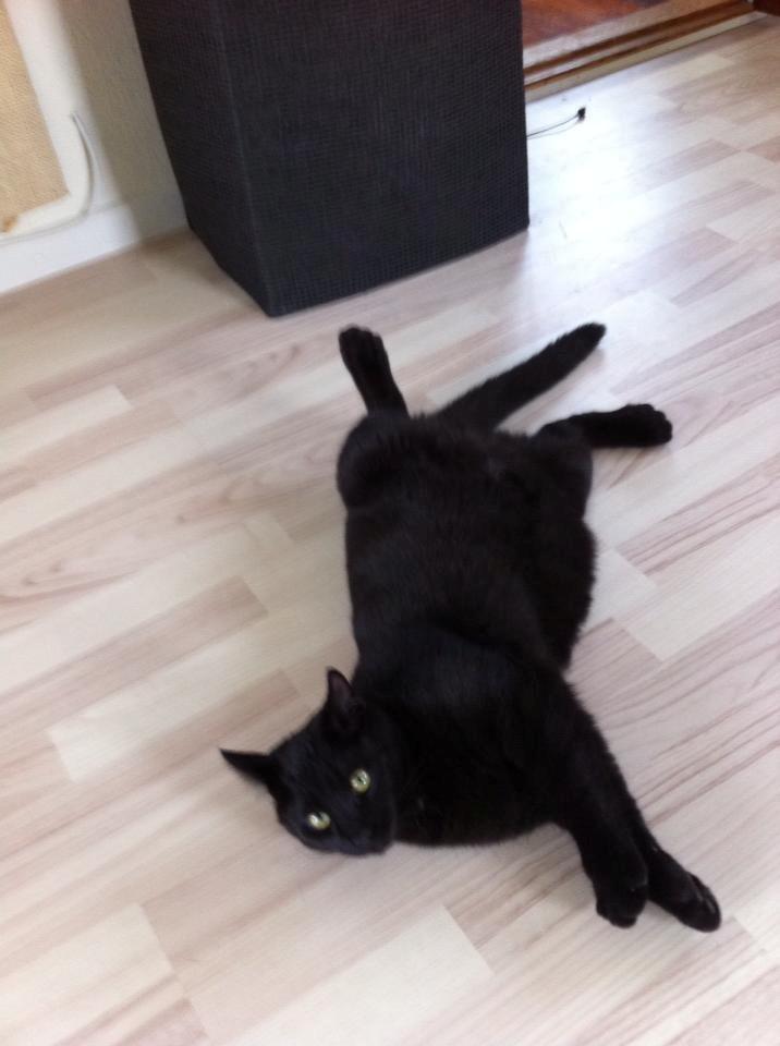 Blanding af racer Batman - Han kan finde ud af at slappe af. billede 14