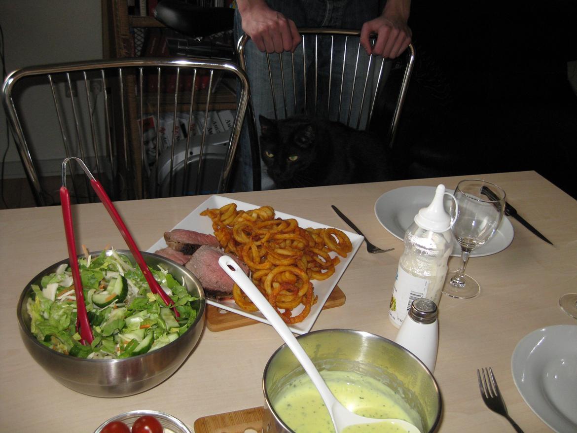 Huskat Ozzy - Er det til mig? billede 3