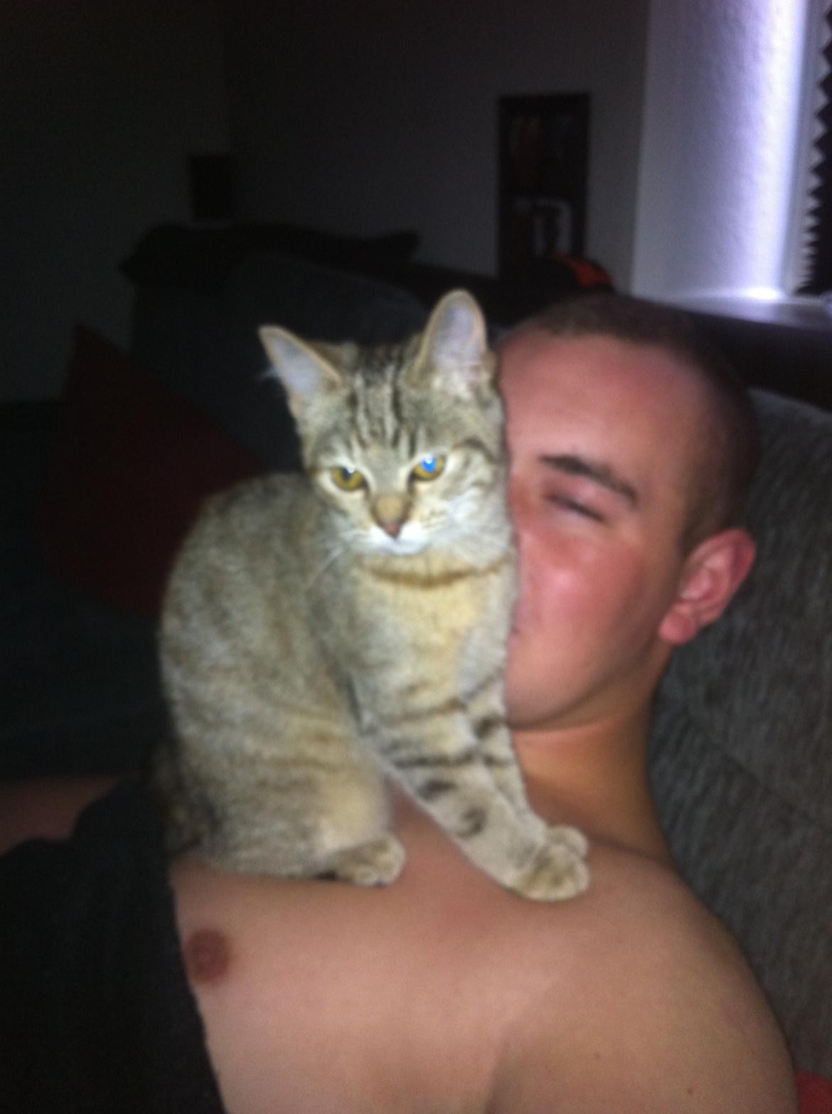 Huskat Bailey <3 - Putter sammen med far :) billede 7