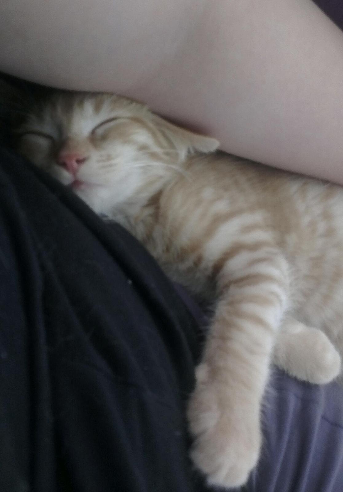 Blanding af racer Heisenberg billede 6