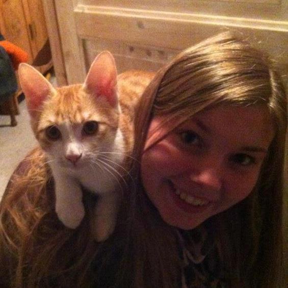 Huskat Ramses billede 10