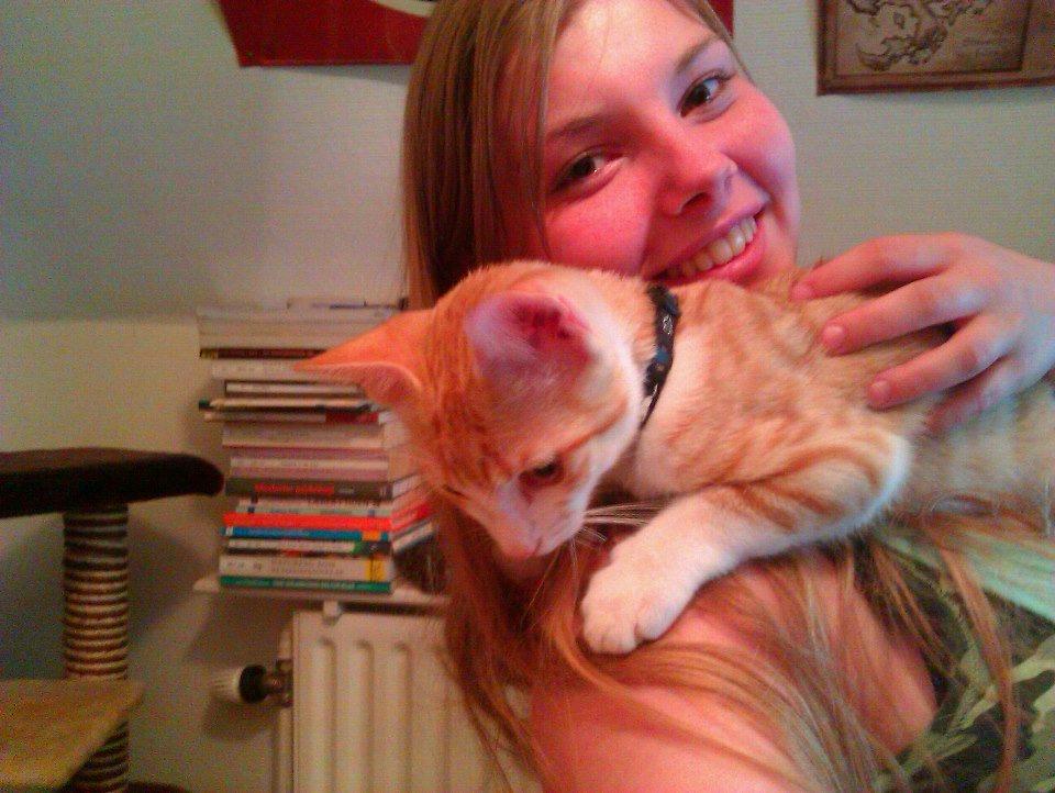 Huskat Ramses billede 13