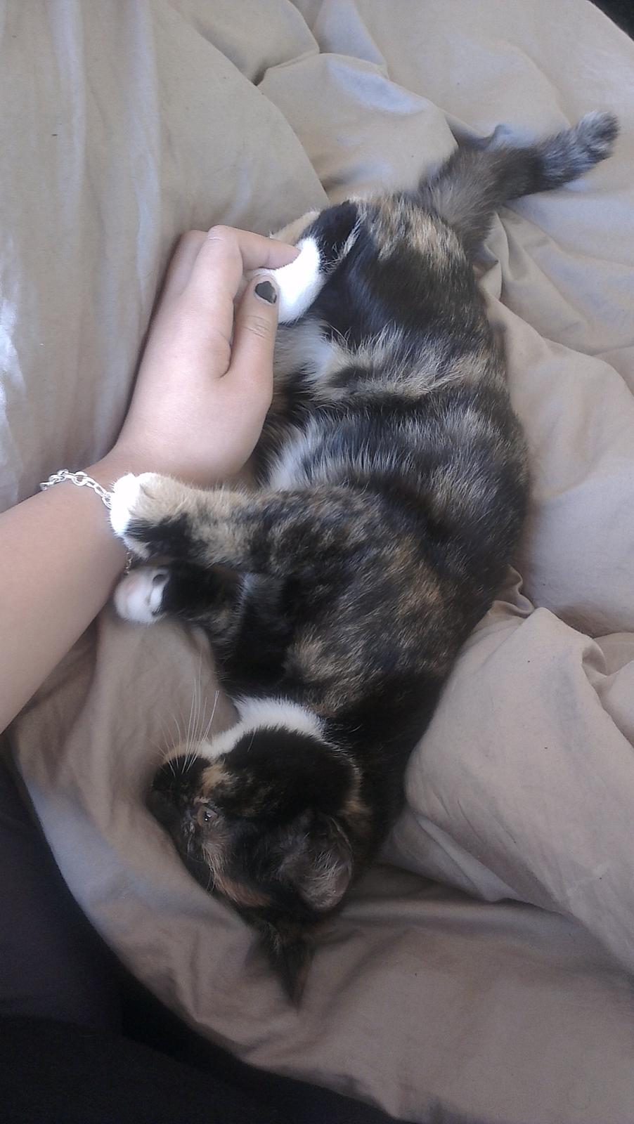 Blanding af racer Marie Curie billede 10