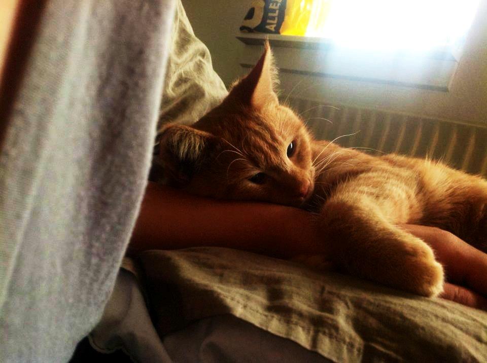 Blanding af racer Heisenberg billede 1