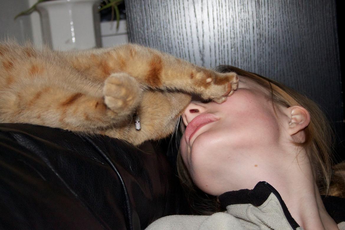 Huskat Kela "Sommersol" billede 2