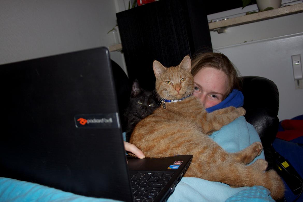 Huskat Kela "Sommersol" billede 5