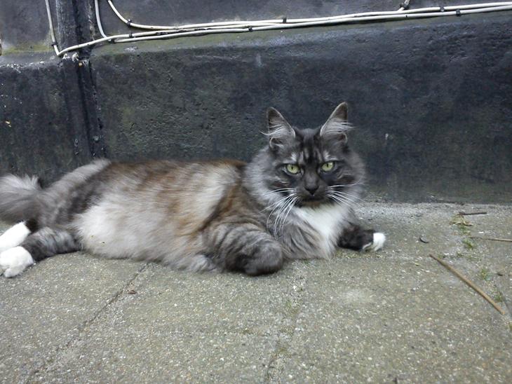 {{currentPhoto.altText}} billede {{currentPhoto.number}}