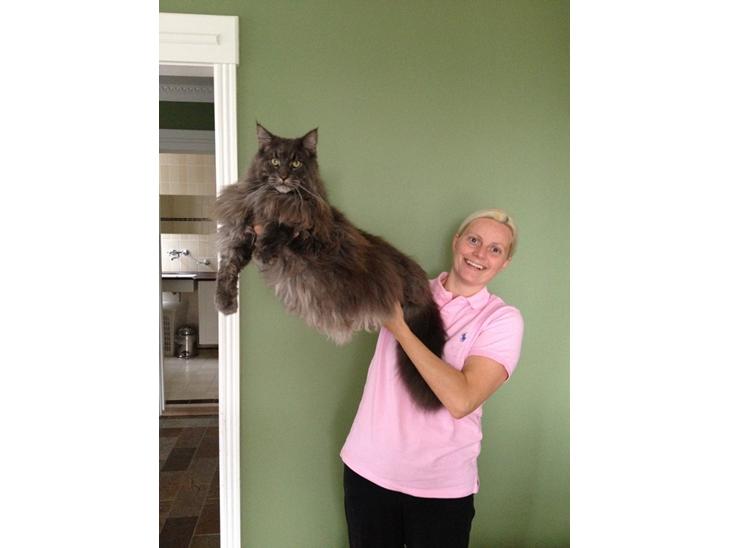 {{currentPhoto.altText}} billede {{currentPhoto.number}}