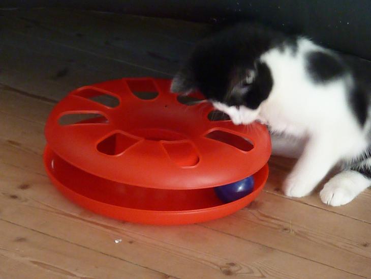 {{currentPhoto.altText}} billede {{currentPhoto.number}}