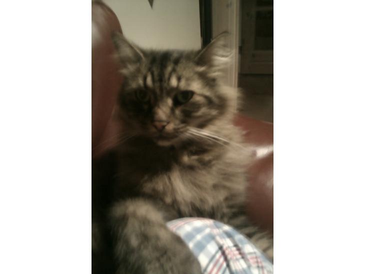 {{currentPhoto.altText}} billede {{currentPhoto.number}}