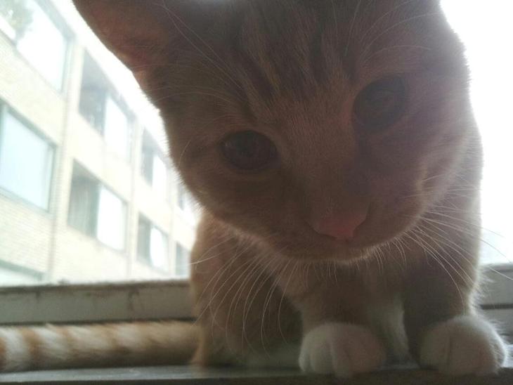 {{currentPhoto.altText}} billede {{currentPhoto.number}}