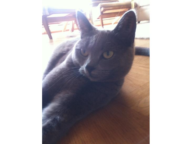 {{currentPhoto.altText}} billede {{currentPhoto.number}}