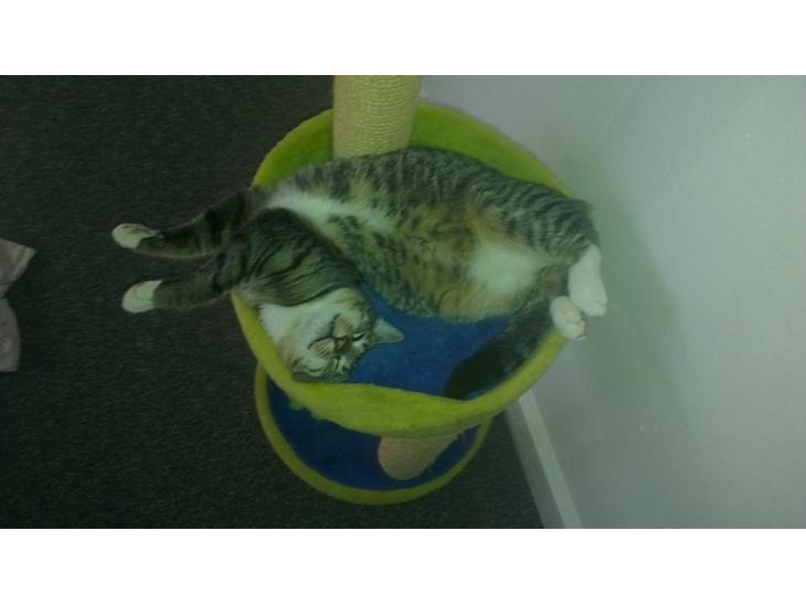 {{currentPhoto.altText}} billede {{currentPhoto.number}}